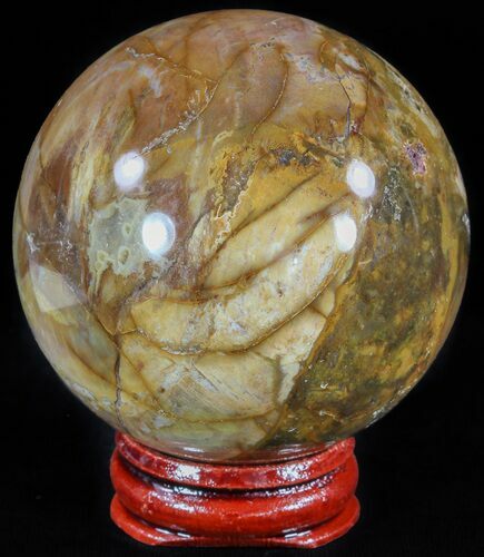 Colorful Petrified Wood Sphere #49761